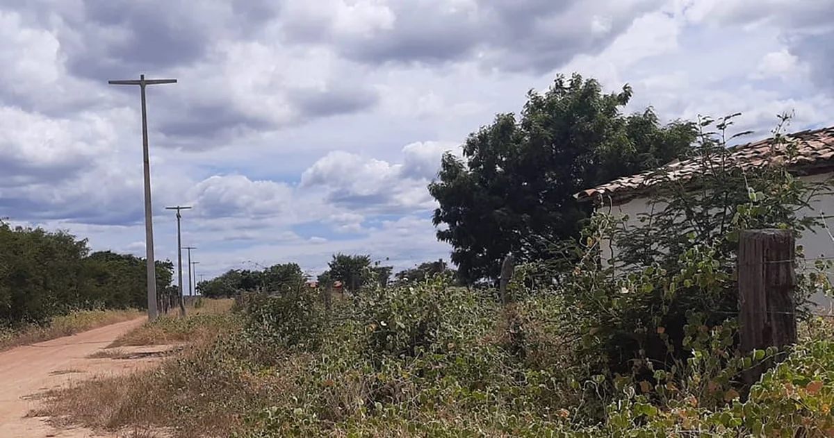 União de forças assegura energia elétrica para mais de 100 famílias de Palmas de Monte Alto 